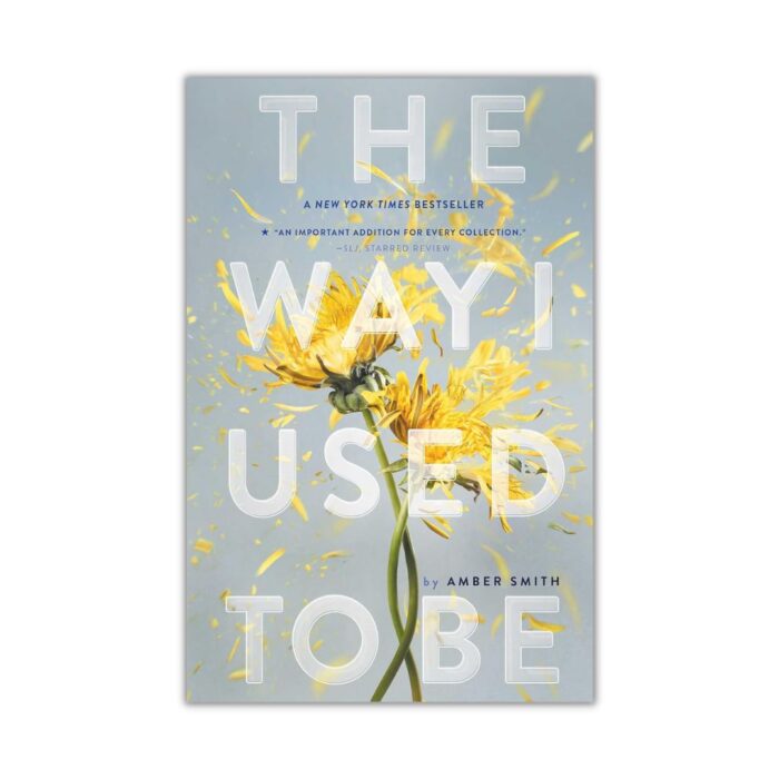 The Way I Used to Be by Amber Smith